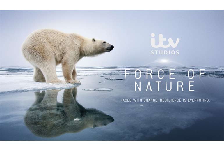 Force-of-Nature---KV-